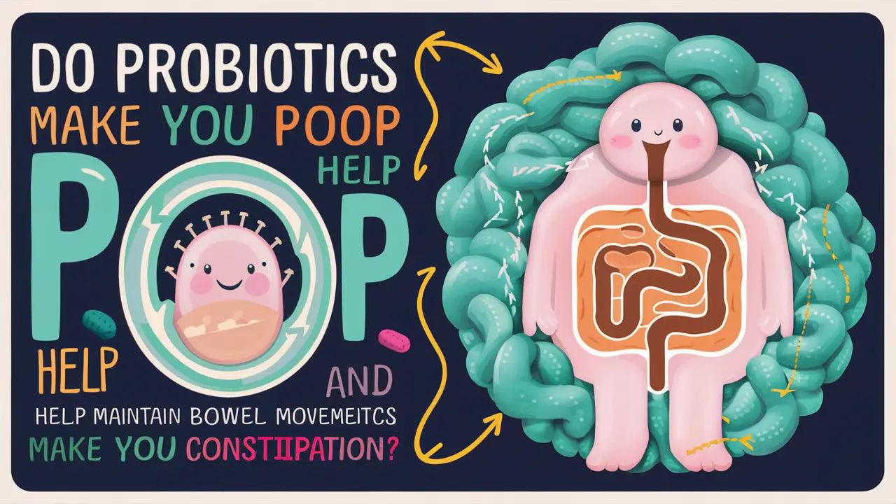 Do Probiotics Make You Poop and Help Constipation- How Probiotics Make You Poop