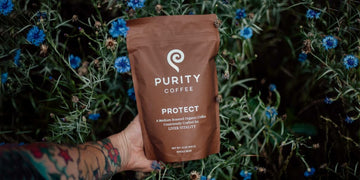 Purity Coffee Reviews – Best Organic Coffee Beans + Discount