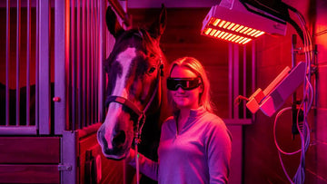 red light therapy horses