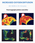 Thermography images showing increased oxygen diffusion before and after using PEMF therapy, highlighting 80-900% improvement.