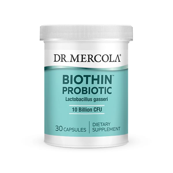 the best probiotic for Lactobacillus Gassseri and weight loss dr mercola biothin
